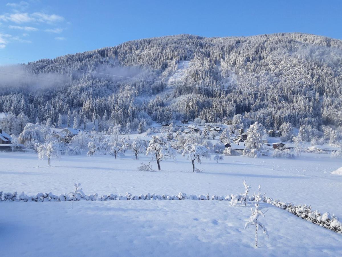 Apartment-Ferienwohnung 3 Treffen Am Ossiachersee Eksteriør billede